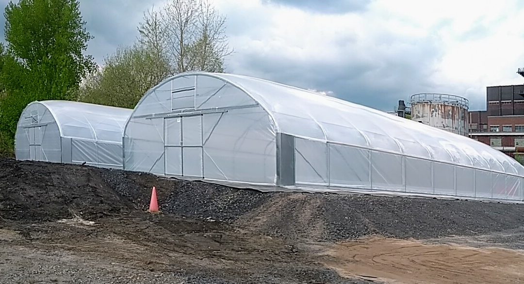 Meilenstein erreicht – Gewächshäuser stehen